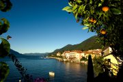 Trekking Panoramico sul Lago Maggiore